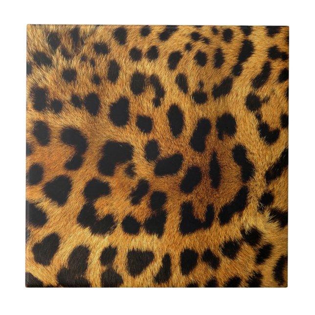 Wildsafari-Tierkäse-Girl-Leopardendruck Fliese (Vorderseite)