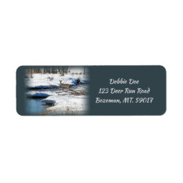 Wildschwanz am Fluss