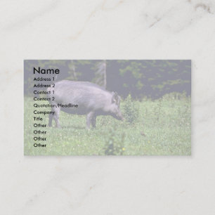 Wildschwein Visitenkarte