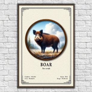 Wildschwein-Zoologie-Serie Poster