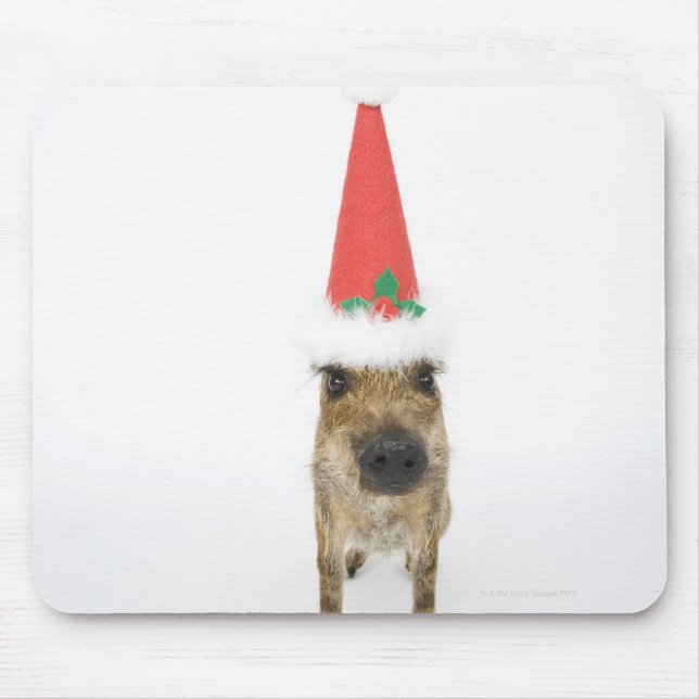 Wildschweine mit Weihnachtshut Mousepad (Vorne)