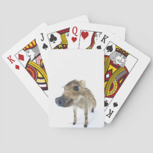 Wildschweine Spielkarten