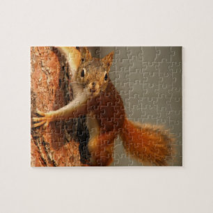 Wildtier-Puzzle-Eichhörnchen-Jigsaw-Puzzle