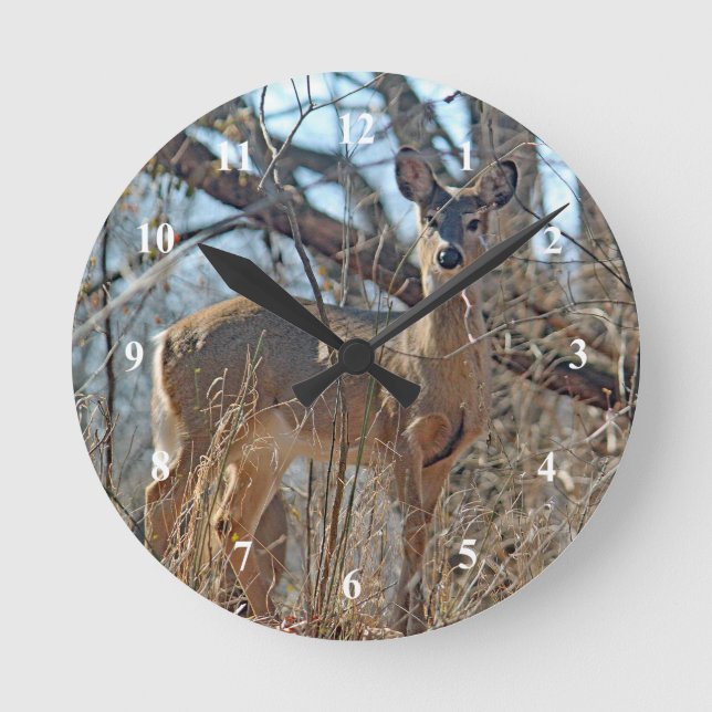 Wildtier-Wald-Foto Runde Wanduhr (Vorderseite)