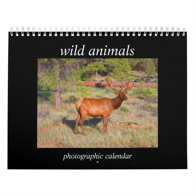 Wildtiere 2025 kalender (Titelbild)