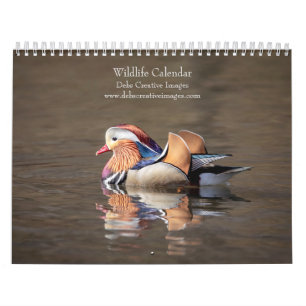 Wildtiere 2026 kalender