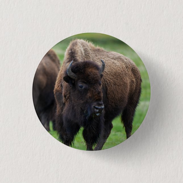 Wildtiere  button (Vorderseite)