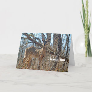 Wildtiere Dankeskarte