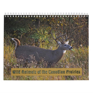 Wildtiere des Kanadischen Prärienkalenders Kalender