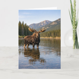 Wildtiere Elch Berg Fluss Karte