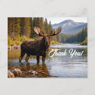 Wildtiere Elch Wildnis Fluss Danke Postkarte