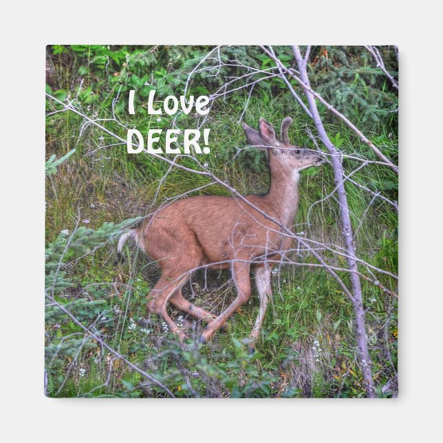 Wildtiere für Outdoor-Liebhaber Magnet (Vorne)