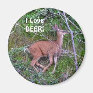 Wildtiere für Outdoor-Liebhaber Magnet