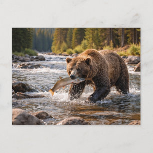 Wildtiere Grizzlybär fängt Fische Postkarte