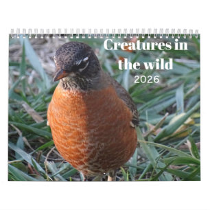 Wildtiere & Insekten Kalender