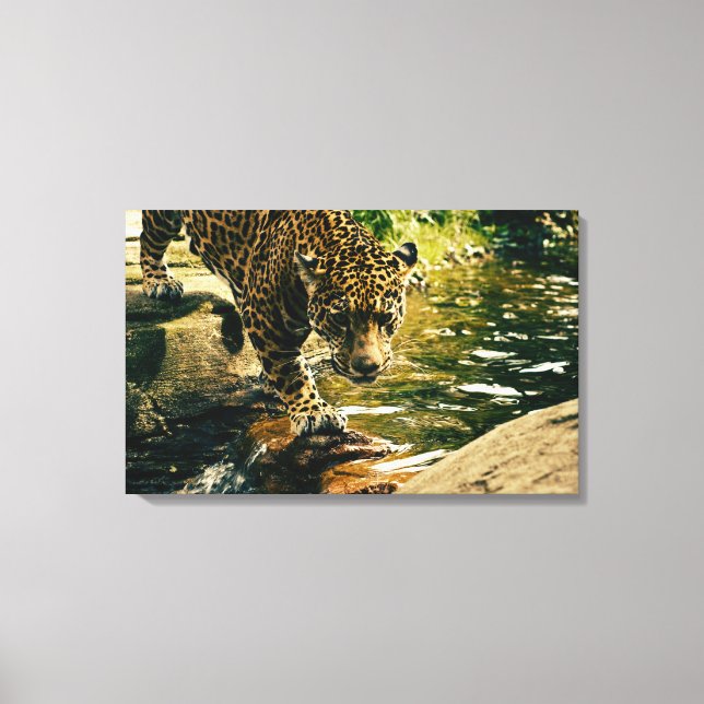 Wildtiere Leinwanddruck (Vorderseite)