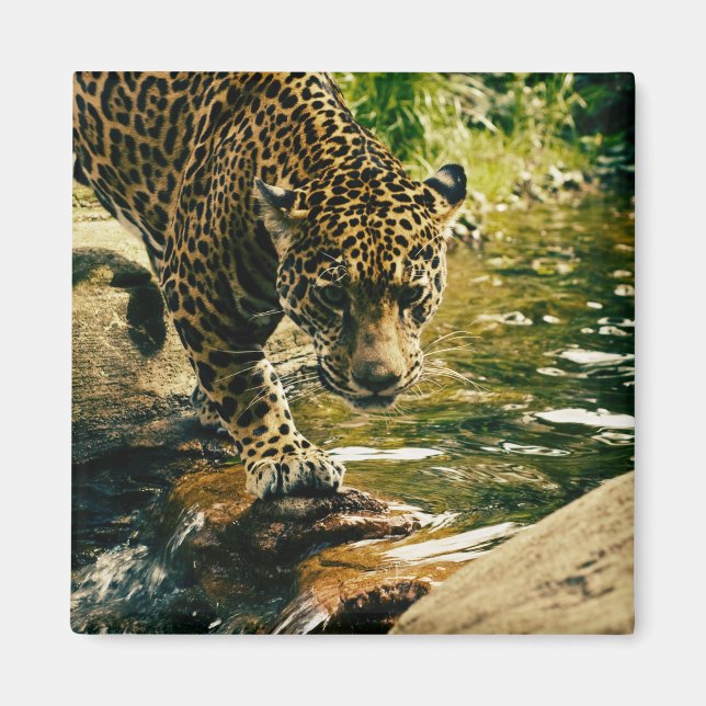 Wildtiere Magnet (Vorne)