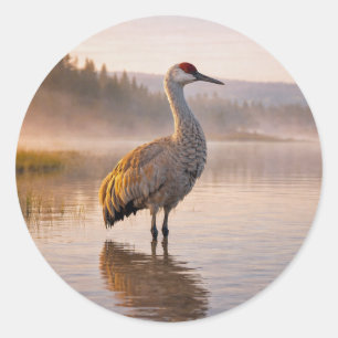 Wildtiere Sandhill Kranich Feuchtgebiet Runder Aufkleber