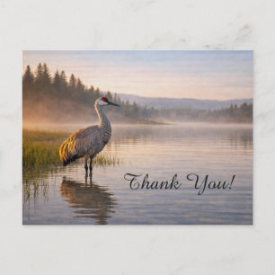 Wildtiere Sandhügel-Kranich Ruhiger See Danke Postkarte