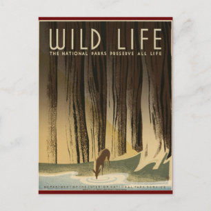 Wildtiere schützen postkarte