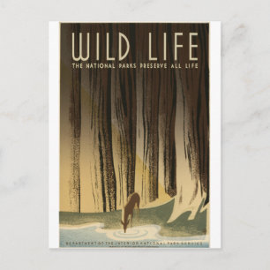 Wildtiere schützen postkarte