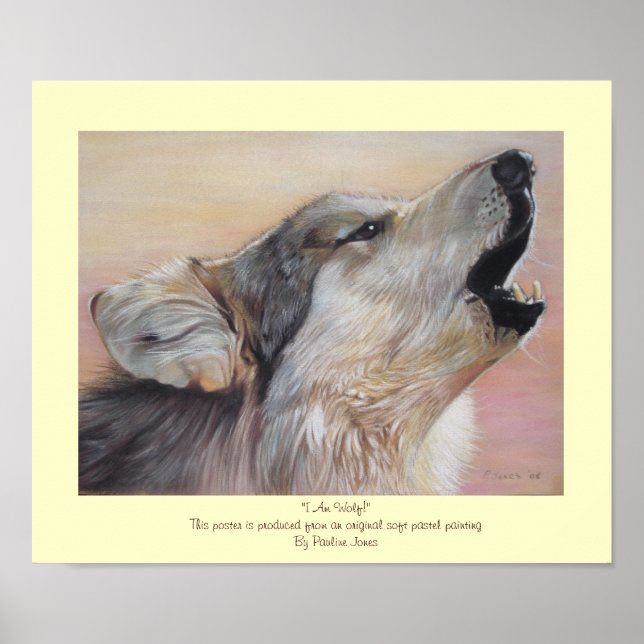 Wildtiere und Sonnenuntergang Poster (Vorne)