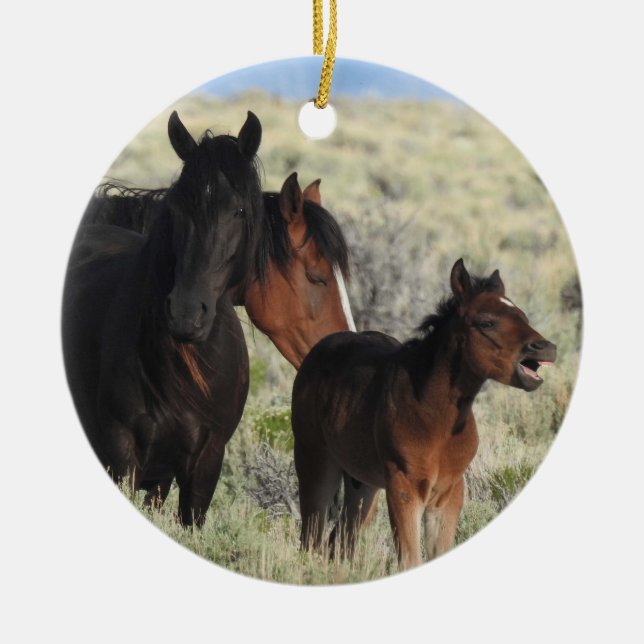 Wildtiere, Wildpferde, Natur, Tiere Keramik Ornament (Vorne)