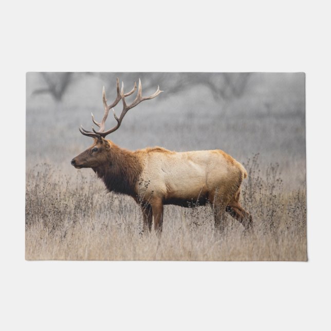 Wildtiere Wildtiere Naturbuck Fußmatte (Vorderseite)