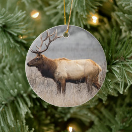 Wildtiere Wildtiere Naturbuck Keramik Ornament