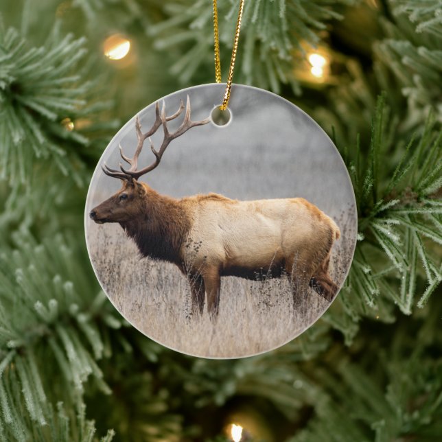 Wildtiere Wildtiere Naturbuck Keramik Ornament (Baum)