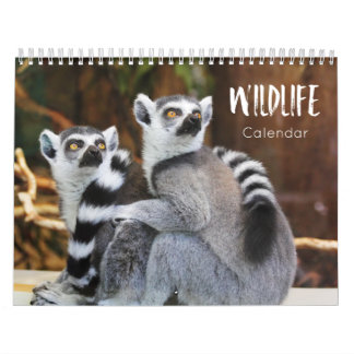 Wildtierkalender 2023 kalender