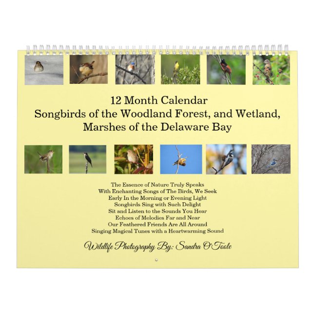 Wildtierkalender, Singvögel, Wildvögel Kalender (Titelbild)
