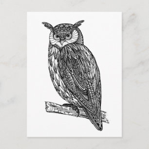 Wildtotem-Tier-Owl-Doodle Postkarte