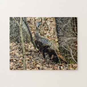 Wildtruthahn im Wald Foto-Puzzle mit Geschenkbox