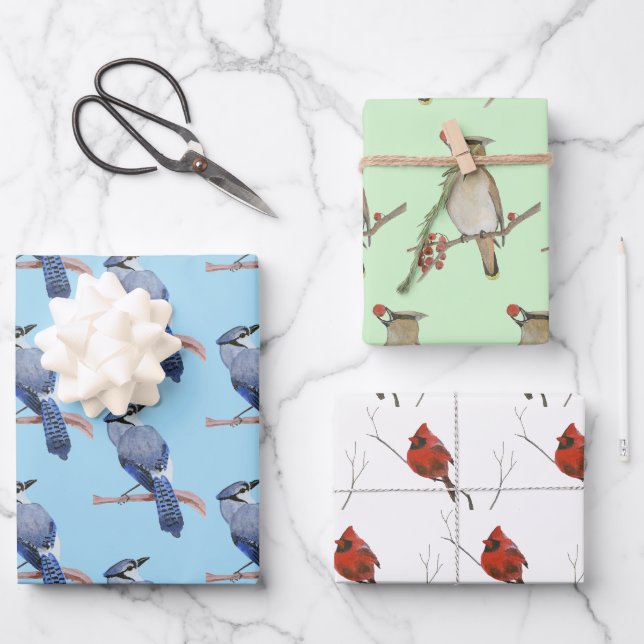 Wildvögel Geschenkpapier Set (Vorderseite)