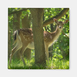 Wildwild in Wäldern unter Bäumen Magnet