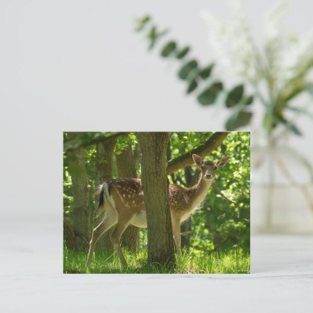 Wildwild in Wäldern unter Bäumen Postkarte (Stehend Vorderseite)