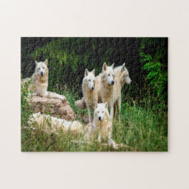 Wildwolf