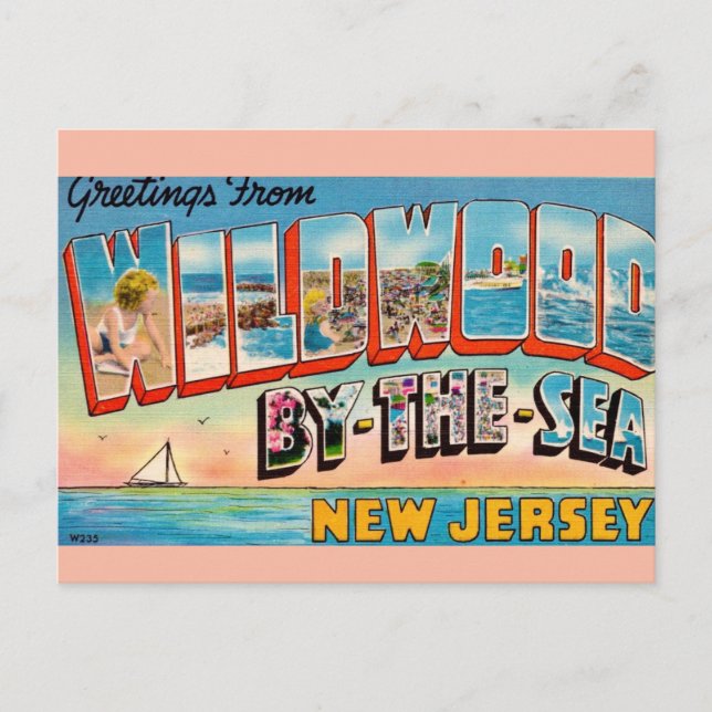 Wildwood by Sea Greetings Postkarte (Vorderseite)