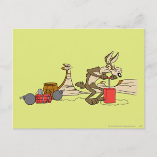 WILE E. COYOTE™ ACME TNT POSTKARTE