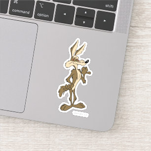 WILE E. COYOTE™ Blickwinkel Aufkleber