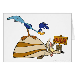 WILE E. COYOTE™ et ROAD RUNNER™ Boulder