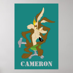 WILE E. COYOTE™ Planung Poster