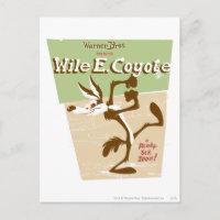 WILE E. COYOTE™ Ready, Set, Zoom!