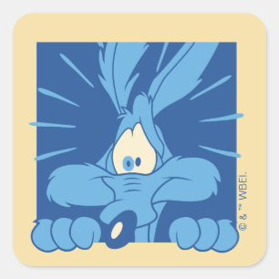 WILE E. COYOTE™ Schockierter Gesichtsausdruck Quadratischer Aufkleber