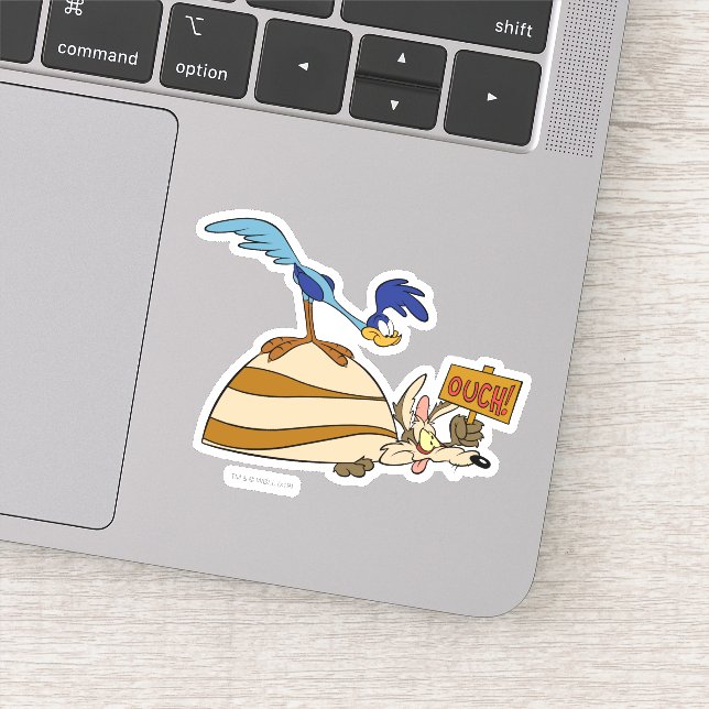 WILE E. COYOTE™ und ROAD RUNNER™ Boulder Aufkleber (Detail)