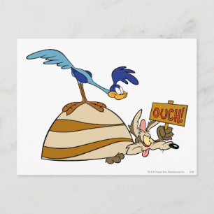 WILE E. COYOTE™ und ROAD RUNNER™ Boulder Postkarte