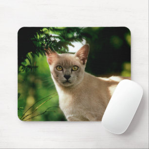 Wilham. Mousepad