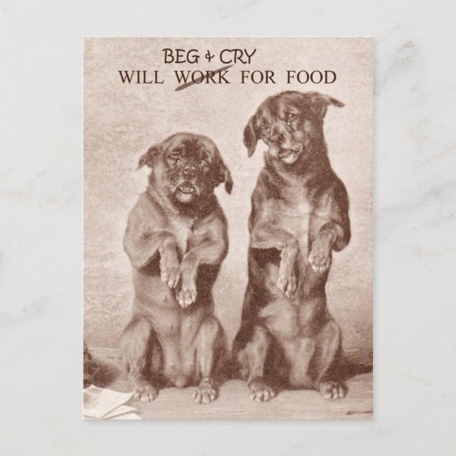 Will Beg & Cry für Nahrung Postkarte (Vorderseite)