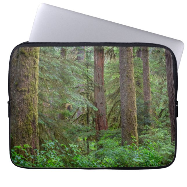Willamette National Forest | Oregon Laptopschutzhülle (Vorderseite)